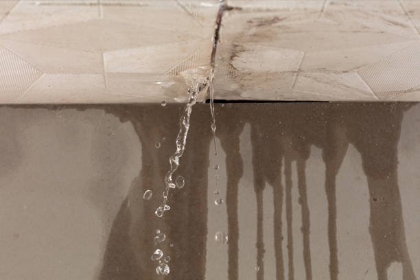 Professional Water Extraction technician working in Splendora, TX